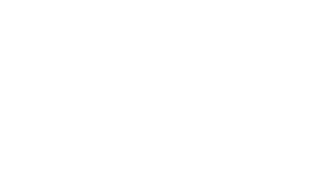 TexasEmails Logo